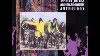 Tommy James amp The Shondells Draggin The LineLyrics [upl. by Acimad]