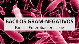 Microbiologia Médica Introdução aos Bacilos Gram Negativos Família Enterobacteriaceae [upl. by Lehacim153]