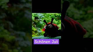 Schönen Juli ☀️⛅️ Gedicht vom Käfer 🐞 und Freya Glücksweg Short schönenJuli Juli Marienkäfer [upl. by Quita751]