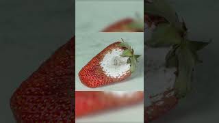 Mold formation on strawberry timelapse 1 sec  1 day shorts timelapse [upl. by Melgar383]