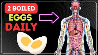 What Happens if You Eat 2 Boiled Eggs Everyday [upl. by Engeddi]