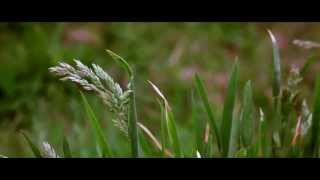 Canon 700D 1855mm Cinematic Video Test [upl. by Read171]