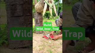 Build Wild boar Trap Using Big Sharp wood wildanimal shortvideo wildlife wildanimals [upl. by Niatsirhc]