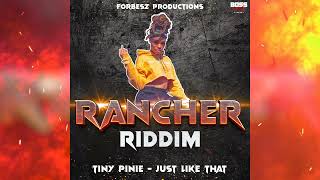 Tiny Pinie  Just Like That Rancher Riddim  Trinibad Dancehall 2023 [upl. by Bergh]