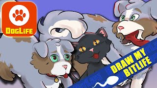 DRAW MY BITLIFE DOGLIFE a Dog Eat Dog World [upl. by Oniratac331]