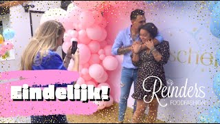 GENDER REVEAL VAN KRISTY amp JIM  weekvlog [upl. by Barncard]