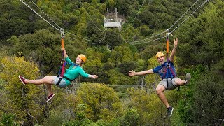 The Best of Waiheke Ziplining Wine Tasting and Vineyard Lunch [upl. by Nonnac]