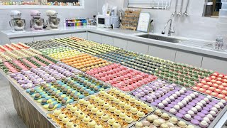 Making 2000 Perfect Macaron Shells in bulk by myself amp Filling [upl. by Tebazile]