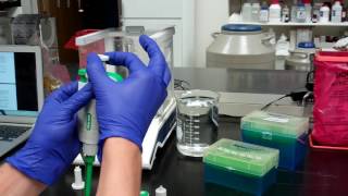 Pipette Calibration [upl. by Catie]