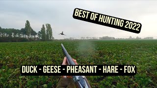 BEST OF SMALL GAME HUNTING 2022  Ducks  Pheasants  Hares  Fox  Geese  compilation [upl. by Porta]