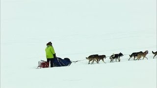 How a Diphtheria Outbreak Spawned the Iditarod [upl. by Kcirddot]