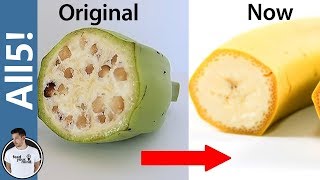 5 Foods Genetically Modified Beyond Recognition [upl. by Snowber782]