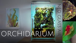 Building an Orchidarium for miniature orchids  DOOA Neo Glass Air TerrariumPaludarium [upl. by Tomaso]