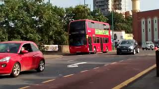 Buses At Plumstead and Calderwood St [upl. by Lrub]