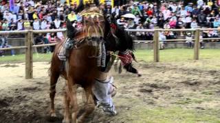 MONGOLIAN HORSE SHOW 2011 quotHUH TOLBOTONquot djigiti [upl. by Rehptosirhc]