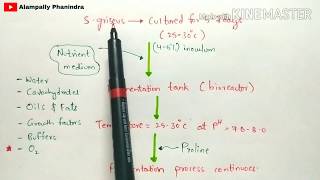 Production of streptomycin by fermentation  Procedure involved  Bio science [upl. by Marcile709]