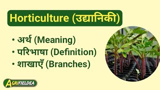 Horticulture  Meaning Definition  Branches of Horticulture in hindi horticulture agrifieldea [upl. by Trebleda]