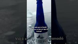 Existe uma cervejaria que produz suas cervejas usando a água de icebergs de 20000 anos [upl. by Irem620]