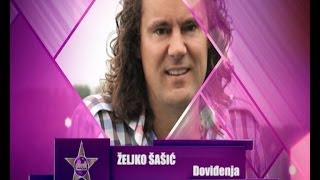 Zeljko Sasic  Dovidjenja  PINK MUSIC FESTIVAL 2014 [upl. by Dunton]