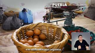 Programa Integral Alimentario quotMódulos Avícolas [upl. by Haim930]