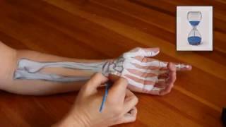 Anatomy Tutorial UNDERSTANDING CARPAL TUNNEL SYNDROME [upl. by Lesde642]