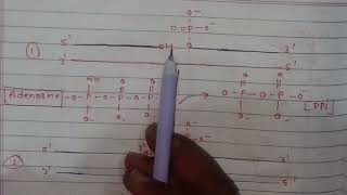 DNA LIGASE l RECOMBINANT DNA TECHNOLOGY l GJU l MDU l IGU l KU [upl. by Joanne602]