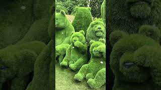 Animal Topiary Ideas🐘🐻🐨animals topiary shorts [upl. by Barncard30]