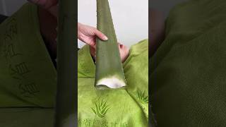 NATURAL ALOEVERA GEL FOR FACE beauty aloevera face natural facepackforfairskin youtubeshorts [upl. by Elawalo]