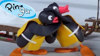 Pingus Favorite Pastimes 🐧  Pingu  Official Channel  Cartoons For Kids [upl. by Ilrahc903]