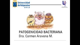 Patogenicidad bacteriana versión 2022 [upl. by Attenahs]