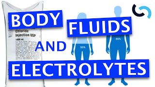 Fluid Balance  Maintaining Hydration [upl. by Torhert]