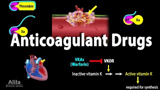 Pharmacology Anticoagulants Animation [upl. by Now]