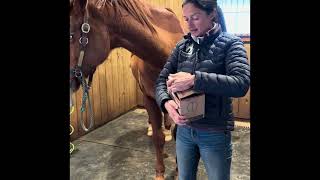 How to Keep Thinsoled and Tenderfooted horses happy with Cavallo Hoof Boots [upl. by Garihc]