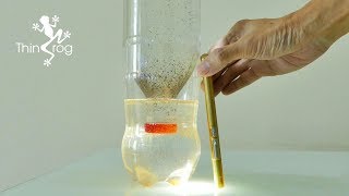 Hatching Brine Shrimp Eggs for Goldfish Fry Ep3 [upl. by Platt]