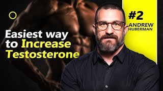 Dr Andrew Huberman Reveals How to Skyrocket Your Testosterone Levels [upl. by Ecahc]