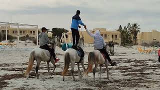 شواطئ جزيرة جربة تونس  Beaches of Djerba Island Tunisia [upl. by Aihseyn896]