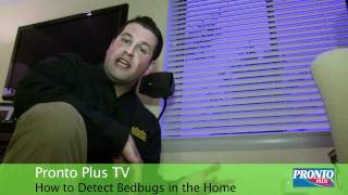 How to Detect Bedbugs in the Home [upl. by Southworth142]