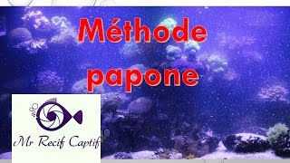 La méthode papone  Mr Recif Captif 68 [upl. by Spanjian]