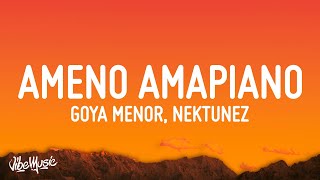 Goya Menor Nektunez – Ameno Amapiano Remix you want to bamba you want to chill with the big boys [upl. by Wolsniw]