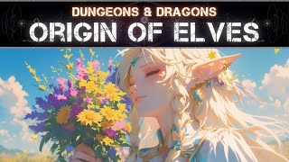 What are elves in Forgotten Realms  DungeonsampDragons Explained [upl. by Enelyar]