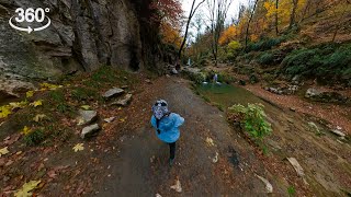 Walking in Hyrcanian Forests A 360° Nature Adventure to Luvah Waterfall in Iran [upl. by Htebazie992]