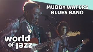 Muddy Waters Blues Band Live At The North Sea Jazz Festival • 15071979 • World of Jazz [upl. by Converse]