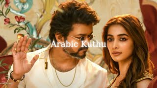 Arabic Kuthu  Slowed  Reverb  Thalapathy Vijay  Anirudh  Beast [upl. by Miza499]