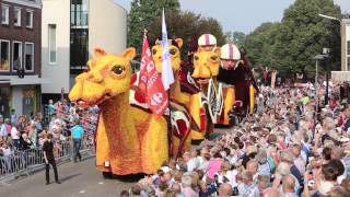 Bloemencorso Zundert 2014 [upl. by Ssenav]