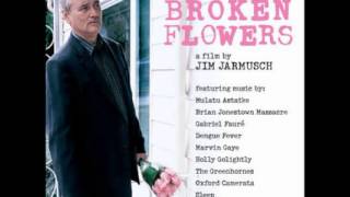 Broken Flowers OST  05  Yekermo Sew [upl. by Marve848]