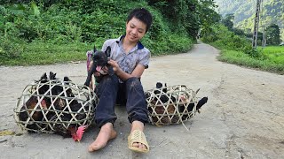 Orphan Boy  Always trying to make life better taking care of corn gardencatching chickens to sell [upl. by Aihsinyt671]