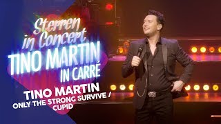 Tino Martin  Only the strong survive amp Cupid  Sterren in Concert Tino Martin in Carré [upl. by Aissatsana315]