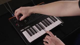 Korg monologue Video Overview Part 1 Oscillators with CC [upl. by Ahseet]