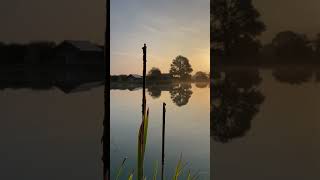 Main lake transitioning into autumn nicely Lakeside lodge fishing escapes at Blackthorn Fishery [upl. by Aeriela]