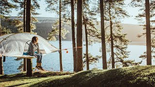 Tentsile  Safari Stingray Tree Tent  The Worlds Most Robust 3 Man Hammock Tent  Set Up Guide [upl. by Eddina575]